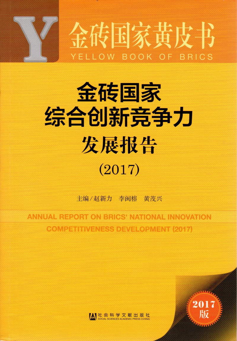 凹凸有裸体极品骚逼操逼AV金砖国家综合创新竞争力发展报告（2017）